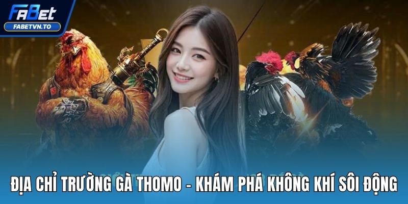 Địa chỉ trường gà Thomo